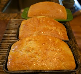 Salt Rise Bread Salt Rising Bread Recipe, Salt Bread Recipe, Salt Rising Bread, Yeast Free Bread, Salt Bread, Crimini Mushrooms, Bane Of My Existence, No Rise Bread, Pizza Recipes Homemade