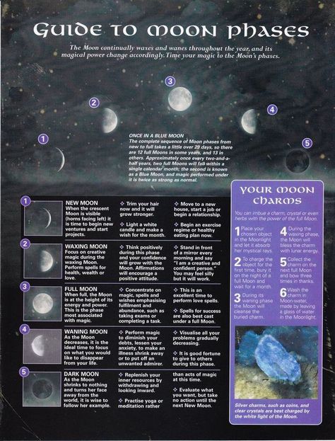 The Moon Phases, Witches Broom, Tarot Significado, Witchy Tips, Broom Closet, Baby Witch, Moon Cycles, Mind Body Spirit, Moon Magic