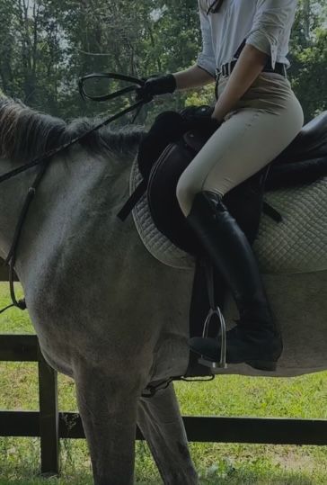 grey horse rich equestrian aesthetic Equestrian Boarding School, Horse Races Aesthetic, Gray Horse Aesthetic, Equestrian Lifestyle Aesthetic, Rich Horse Girl Aesthetic, Old Money Equestrian Aesthetic, Horse Riding Aesthetic Girl, Horse Show Aesthetic, Rich Equestrian Aesthetic