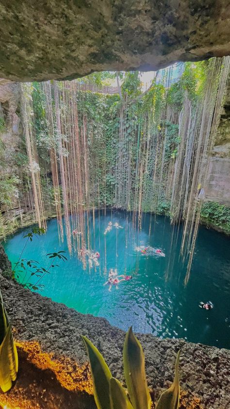 Cenotes Cancun, Rivera Maya Mexico, Cenote Mexico, Cancun Trip, Tulum Travel, Mexico Trip, Cozumel Mexico, Spring Breakers, Surreal Photos