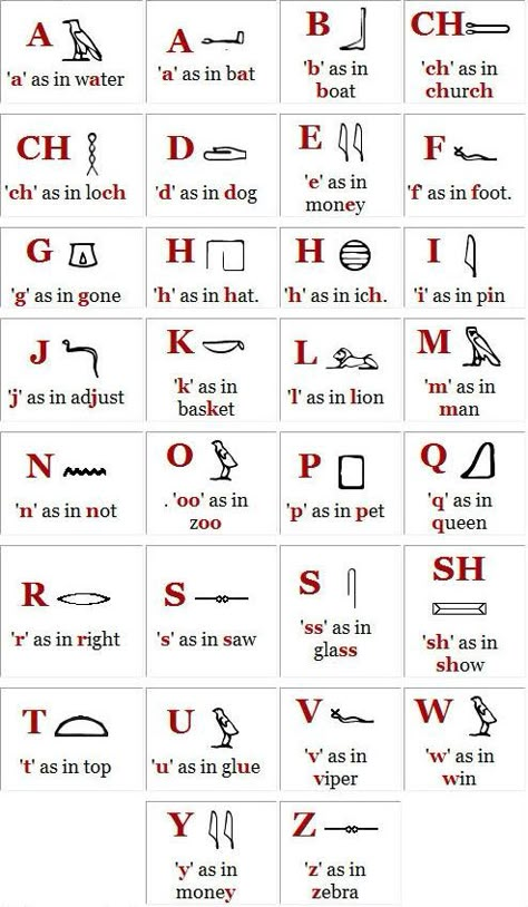 hieroglyphics alphabet | Egyptian Hieroglyphics Translator Alphabet Hieroglyphics Alphabet, Egyptian Alphabet, Ancient Alphabet, Ancient Egypt Hieroglyphics, Star Charts, Egypt Hieroglyphics, Egyptian Party, Starověký Egypt, Ancient Alphabets