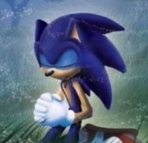 Sonic Funny, Sonic And Shadow, Morrissey, Thank You God, Shadow The Hedgehog, March 21, Meme Template, The Hedgehog, Reaction Pictures