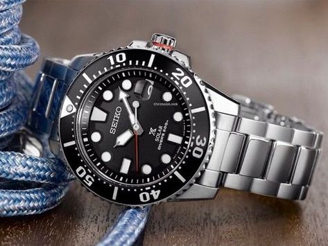 Seiko Solar Diver, Seiko Solar, Citizen Watches, Seiko 5 Sports, Brown Watches, Diver Watch, Seiko Watch, Citizen Watch, Dream Watches