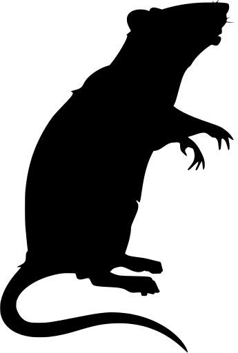 Rat Svg Free, Rat Anatomy, Rat Stencil, Halloween Horror Nights Outfit, Halloween Calabazas, Rat Animal, Rat Silhouette, Teeth Vector, Halloween Window Silhouettes