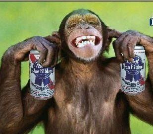 BEER DRINKIN MONKEY!! Monkey Aesthetic, Shot Ski, Monkey Drawing, Beer Photos, Reaction Images, Funny Picture, Drinking Beer, Monkeys, Painting Ideas