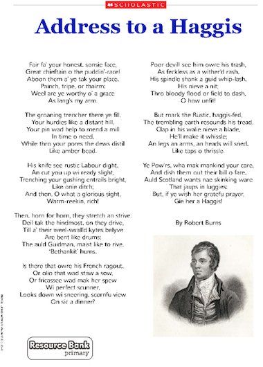 St Andrews Day Celebrations, Robert Burns Poems, Burns Night Quotes, Robbie Burns Day, St Andrews Day, Burn's Night, Burns Day, Burns Supper, Burns Night