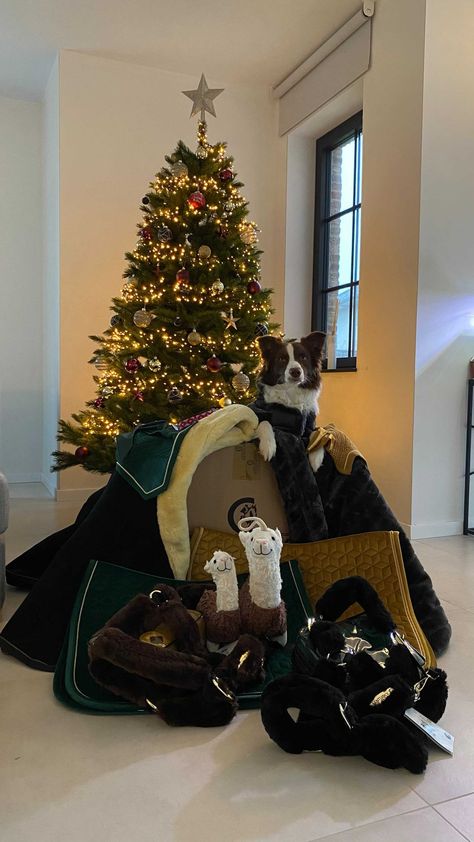 Horse Christmas Aesthetic, Dog Christmas Aesthetic, Christmas Horse Aesthetic, What To Get An Equestrian For Christmas, Equestrian Christmas Tree, Christmas Equestrian, Aesthetic Equestrian, Horses Christmas, Winter Equestrian