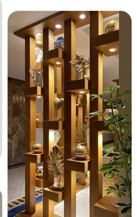 Partition With Storage, Hall Partion Ideas, Hall Partition Living Rooms, Classic Interior Design Living Room, Kitchen Wardrobe Design, Wall Partition Design, Hostels Design, Tropical House Design, Tv Unit Interior Design