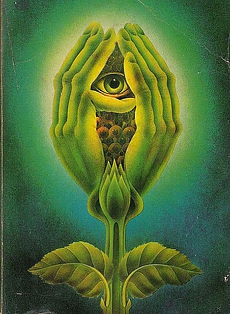 All Seeing Eye Poster Grafico, Occult Books, Psy Art, Vintage Book Covers, Seeing Eye, All Seeing Eye, Tableau Art, All Seeing, Visionary Art