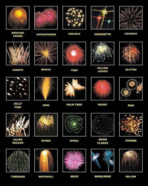 Different types of fireworks. Who would've known there were specific names of fireworks! Chemistry Of Fireworks, Roman Candle, Fire Works, Fireworks Display, Interesting Information, Strobing, Fourth Of July, Fireworks, Chemistry