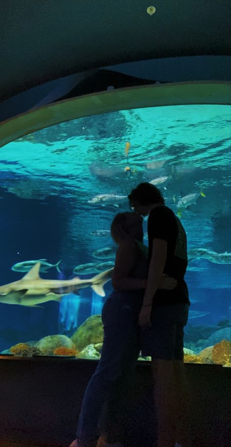 Aquarium Date Fits, Aquarist Aesthetic, Zoo Date Couple, Cute Aquarium Pictures, Couple Aquarium Pictures, Date Aquarium, Aquarium Couple Photos, Aquarium Aesthetic Couple, Aquarium Instagram Pictures