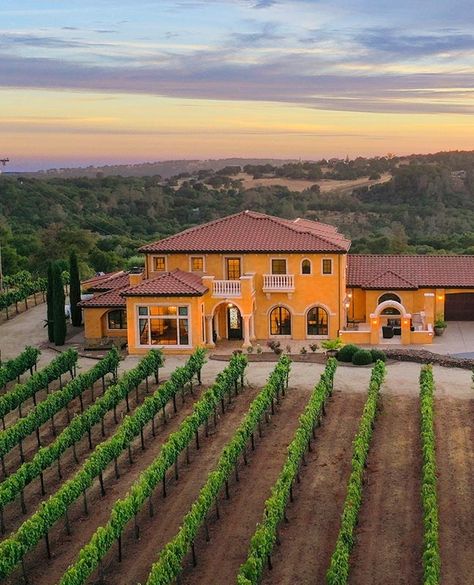 Vineyard Home Aesthetic, Vineyard Estate House, Vineyard House California, Mexican Mansion, California Wine Country Homes, Winery Architecture, Vineyard Estate, The Grand Estate At Hidden Acres, Wineries Architecture