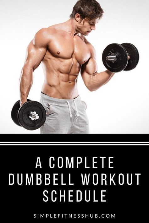 Dumbbell Workout For Men Home, Beginner Weight Workout At Home, Workout Programs With Dumbbells, At Home Dumbell Workout Men, At Home Workout Plan Build Muscle, Beginning Dumbell Workout, Upper Body Free Weight Workout Dumbbell Exercises, Dumbell Whole Body Workout, At Home Workout For Men