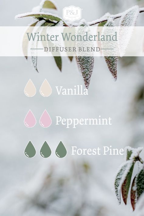 Christmas Diffuser Blend - Winter Wonderland Christmas Diffuser Blends, Essential Oil Spray Recipes, Essential Oil Perfumes Recipes, Essential Oil Diffuser Blends Recipes, Essential Oils Guide, Essential Oil Diffuser Recipes, Oil Diffuser Recipes, Essential Oil Blends Recipes, Essential Oil Mixes