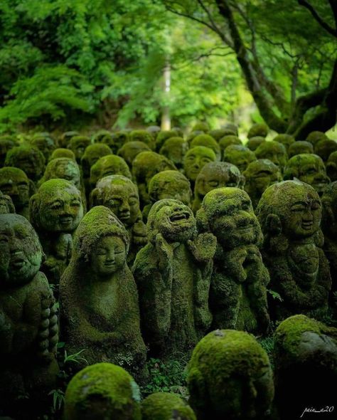 Shintoism Aesthetic, Japanese Forest Aesthetic, Japanese Temple Aesthetic, Japanese Statues, Moss Graffiti, Japanese Statue, Historical Sculptures, Yoga Studio Design, Ancient Japan