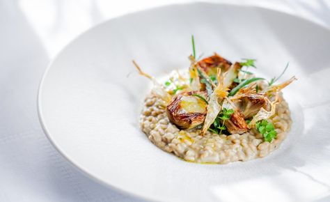 Risotto Fine Dining, Plating Presentation, Plating Food, Indian Food Photography, Fine Dining Recipes, Presentation Ideas, Star Food, Fancy Food, Fine Food