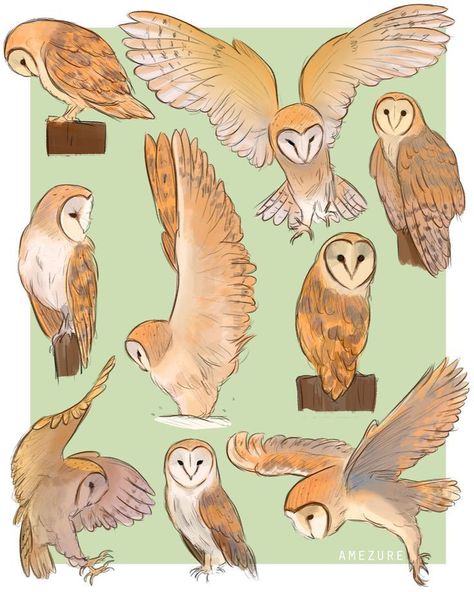 Animal Tattoo Ideas, Barn Owls, Owls Drawing, Animal Reference, Animal Drawing, Animal References, Animal Sketches, Dessin Adorable, Arte Animal