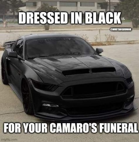 Mustang Quotes Car, Mustang Wraps, Mustang Meme, Mustang Quotes, Illegal Racing Aesthetic, Mustang Humor, Chevy Vs Ford, Eternal Peace, Old Fashioned Cars