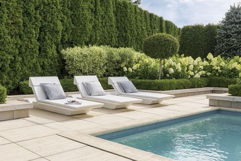 Pool Landscaping Canada, Pool Landscaping Ideas Inground Privacy, Inground Pool Landscaping Rectangle, Pool Landscaping Mediterranean, Formal Pool Landscaping, Landscape Around Rectangle Pool, Pool Edge Landscaping, In Ground Pool Designs, Pool Landscaping Florida