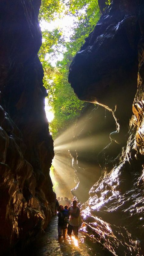 Robbers Cave, Dehradun PC - Atanu Phukon #india #bharat #nature #hindustan #uttarakhand Robbers Cave Dehradun, Dehradun Snap, Dehradun Photography, Mandala Digital, Beach Sunset Wallpaper, Moments Quotes, Map Outline, Travel Pictures Poses, Chill Photos