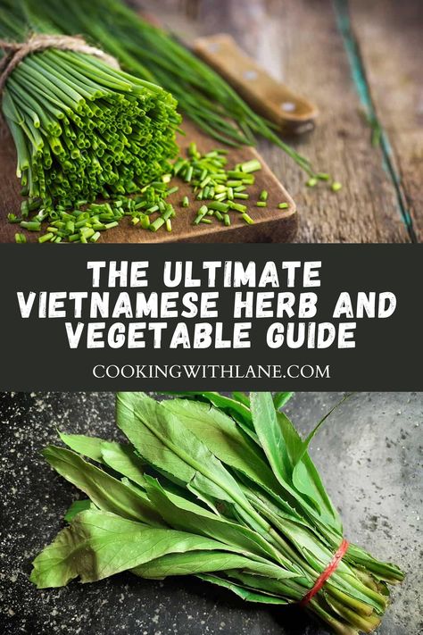 Vietnamese Vegetables, Vietnamese Spring Rolls Recipe, Asian Food Appetizers, Easy Asian Noodle Recipes, Asian Pork Recipes, Vegetable Dishes Recipes, Shrimp Appetizer Recipes, Easy Asian Noodles, Easy Vietnamese Recipes