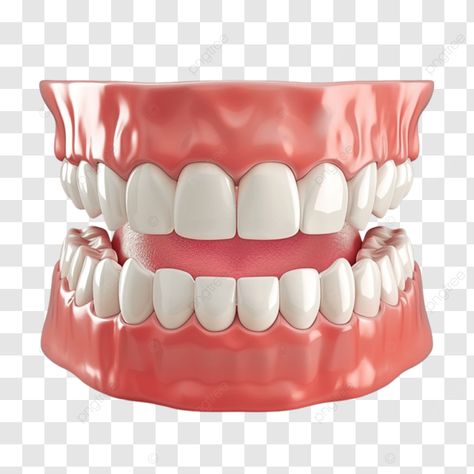 oral health and dentistry concept art realistic teeth human gums dental illustration png Dental Illustration, Teeth Png, Teeth Clipart, Dental Animation, Tooth Art, Teeth Images, Teeth Aesthetic, Skin Quotes, Pet Food Packaging