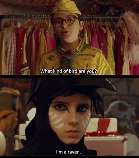 Moonrise Kingdom.. what kind of bird are you... (she reminds me of Francis Bean Cobain, and Francis Bean Cobain looks like Ginnifer Goodwin to me) Moonrise Kingdom Quotes, West Anderson, Wes Anderson Aesthetic, Indie Movie Posters, Wes Anderson Movies, Social Media Website, Wes Anderson Films, Best Movie Posters, Moonrise Kingdom