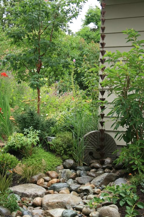 Rain Garden Landscape, Rain Garden Design, Gutter Garden, Rain Chains, Asian Landscape, Sustainable Landscaping, Eco Friendly Garden, Asian Garden, West Seattle