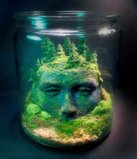 Mini landscape in a jar Gothic Terrarium, Ancient Goddesses, Moss Covered, Terrarium Ideas, Mini Gardens, Moss Garden, Miniature Gardens, Garden Terrarium, Fantasy Forest