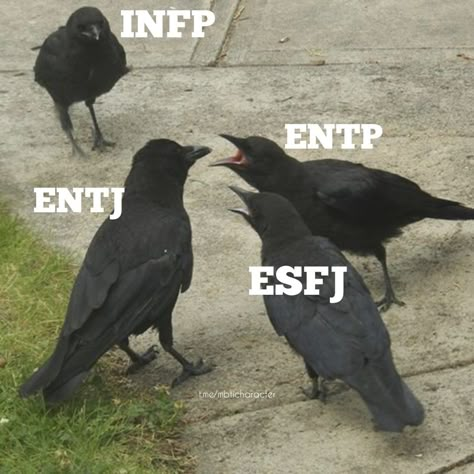 Mbti Infp X Entj, Infp 9w1 Vs 4w5, Infp Esfj Relationship, Infp Entj Fanart, Infp Entj Relationships, Entj X Infp Fanart, Entp X Infp Relationship, Esfj X Infp, Infp X Esfj