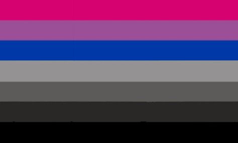 Hetero Flag, Attraction Flags, Bi Flag, Lgbtq Flags, Faith In Humanity, Pride Flags, Bacon, Pie Chart, Flag