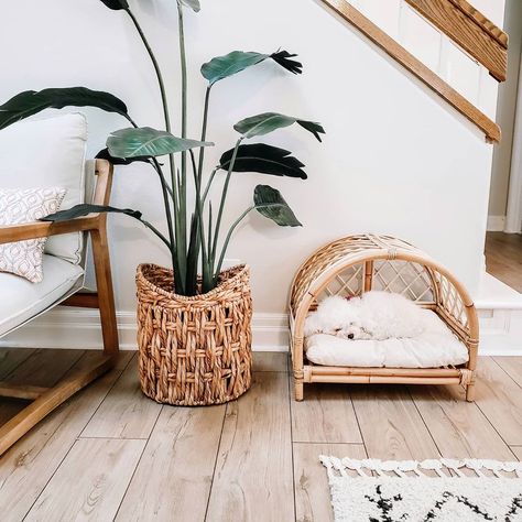 Boho Dog Bed perfect for a bohemian style home. Boho Cat Bed, Cozy Pet Corner, Boho Dog Bed, Dog Nook, Dog Corner, Boho Apartments, Boho Dog, Casa Clean, Pet Corner