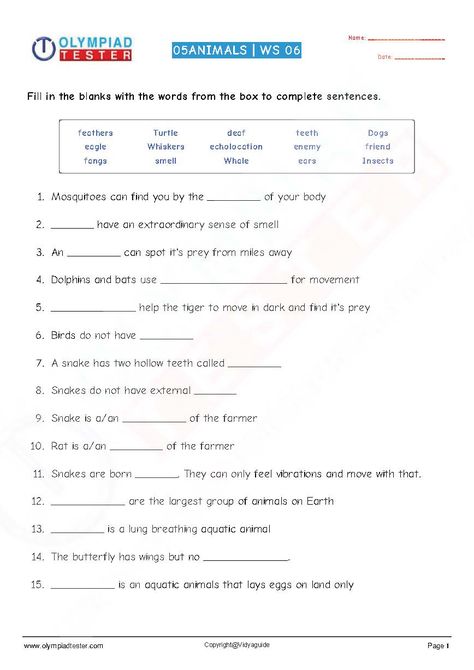 Third Grade Science Worksheets, English Exam Papers, Cloze Passages, Olympiad Exam, 2nd Grade Reading Worksheets, English Grammar Test, Plants Worksheets, Sample Question Paper, Math Olympiad