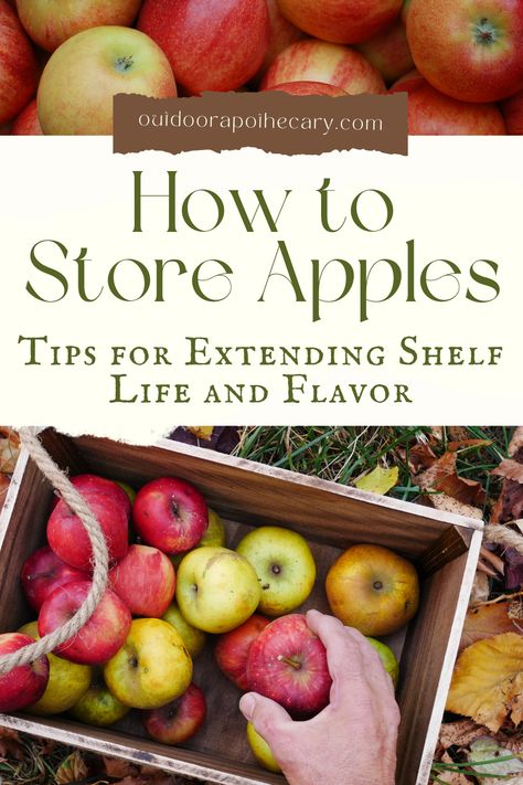 Discover expert tips to store apples long-term and extend their flavor and freshness. Make the most of your harvest with proper apple storage techniques. Apple Storage, How To Store Apples, Apple Varieties, Cooking Homemade, Farm Food, Fruit Storage, Easiest Apples, Apple Harvest, How To Store