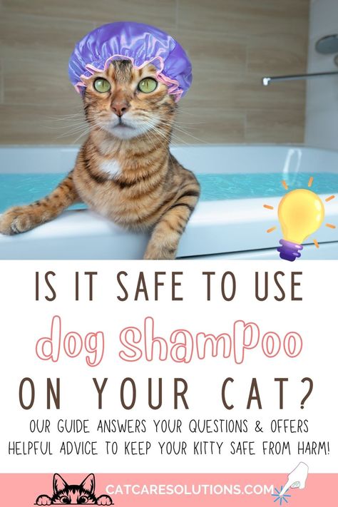 Shampoo Diy, Cat Shampoo, Cat Care Tips, Dog Shampoo, Cats And Dogs, Cat Care, Helpful Tips, Dog Owners, Cat Breeds