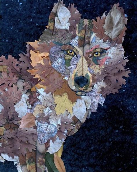 Wolf Art Leaf Collage by British Columbia Artist Tanya Bub Leaf Art Diy, Dry Leaf Art, Leave Art, Leaf Collage, Leaf Projects, Autumn Leaves Art, Pine Cone Art, Leaf Animals, Nature Collage