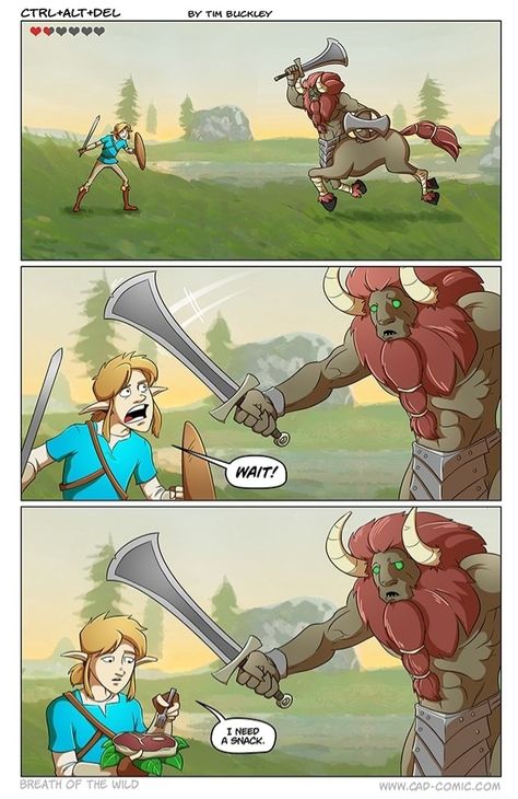 Legend Of Zelda Characters, Legend Of Zelda Memes, Botw Zelda, Zelda Funny, Zelda Botw, Video Game Memes, Link Zelda, Zelda Art, Legend Of Zelda Breath