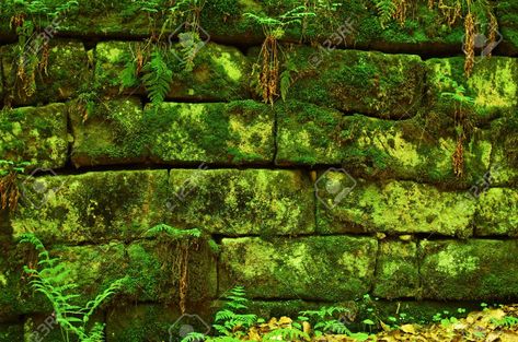 123RF mossy bricks Wall Moss, Jungle Wall, Moss Wall, Old Bricks, Brick Building, Wall Background, Cityscape, Stock Photography, Beautiful Places