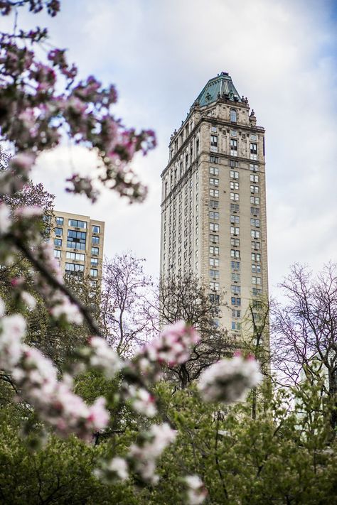 Pierre Hotel Nyc, Seagram Building, Taj Hotel, 5th Avenue New York, Manhattan Hotels, Ny Hotel, Nyc Hotels, New York Hotels, Elegant Hotel