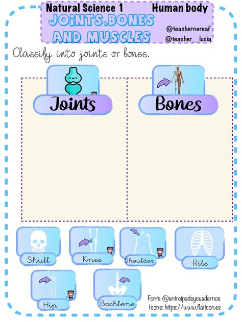 Human body:bones, muscles and joints interactive worksheet Muscles Worksheet, Science Skeleton, Kindergarten Science Projects, Human Body Bones, Skeletal System Worksheet, Human Body Worksheets, Human Body Projects, Body Bones, Skeletal System