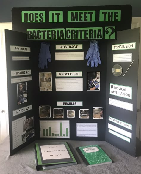 Which house hold object has the most bacteria Bacteria Science Fair Project Board, 3 Sided Display Board Ideas, Microbiology Project Ideas, Science Fair Ideas Highschool, Science Project Poster, Posterboard Projects For School, Science Projects For Toddlers, Project Poster Board, Science Fair Project Board