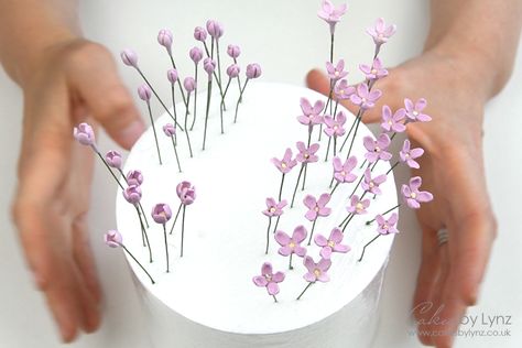 How to make Gumpaste Lilacs - The Perfect Filler Flowers - Cakes by Lynz Drip Cake Tutorial, Flower Fillers, Edible Flowers Cake, Filler Flowers, Gumpaste Flowers, Decorating Videos, Flower Business, Gum Paste Flowers, Cake Decorating Videos