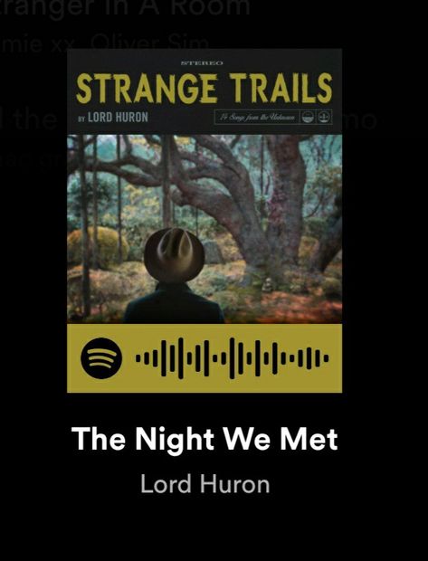 The Night We Met Spotify, The Night We Met, Night We Met, Lord Huron, Spotify Code, Music Collage, Rock Of Ages, Song Lyrics Wallpaper, Just Lyrics