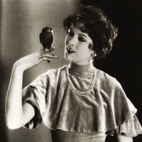 Myrna Loy holding a bird Poses With Bird Reference, Person Holding Bird Pose Reference, Pose Reference With Bird, Person Holding A Bird Reference, Poses With Birds, Woman Refrence Pose, Holding A Bird Reference, Flipping Coin Pose, Holding Bird Pose