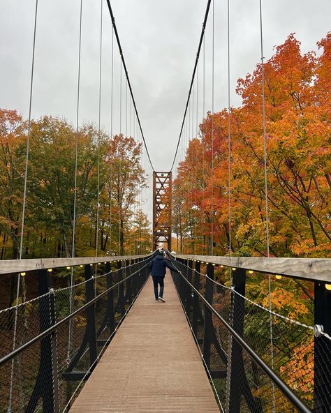 SkyBridge Michigan, northern Michigan, fall getaway, Midwest getaway, things to do in Michigan, fall aesthetic, autumn leaves Michigan Things To Do, Michigan Road Trip Aesthetic, Up North Michigan Fall, Skybridge Michigan, Aesthetic Autumn Leaves, Upper Peninsula Michigan Road Trips Fall, Marquette Michigan Fall, Michigan Aesthetic, Filler Aesthetic