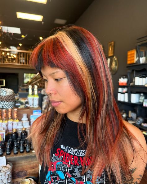 Content description: a person with long hair that has black, blonde, and red streaks in their hair with red bangs. Fun Hair Inspo Color, Calico Dyed Hair, Creative Hair Dye, Dark Calico Hair, Haley Williams Hair, Calico Hair Color, Calico Cat Hair, Calico Hair, Haley Williams