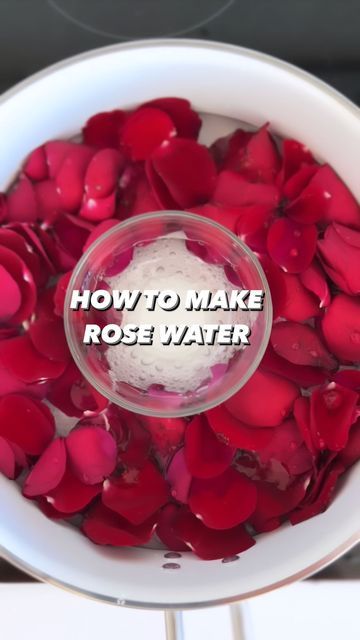 How To Make Rosewater At Home, Make Rose Water, How To Make Rose Water At Home, What To Do With Roses, How To Make Rose Water Diy, How To Make Rose Water, Rose Water For Cooking, Rosewater Recipe, Making Rose Water