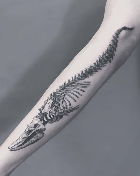 Dinosaur Tattoo Ideas, Tattoo Whale, Dinosaur Tattoo, Whale Tattoo, 16 Tattoo, Funky Tattoos, Dinosaur Tattoos, Whale Tattoos, Bone Tattoos