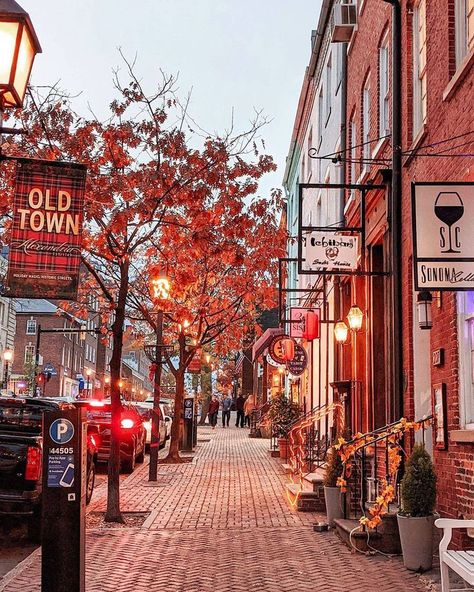 Alexandria City, Virginia Fall, Virginia Photography, Town Aesthetic, Fall City, Old Town Alexandria, Virginia City, Alexandria Virginia, Virginia Is For Lovers