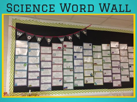 Science Vocabulary Posters and Quizzes: We have made it to all of our new terms for the year! $ Science Vocabulary Wall, Science Posters For Classroom, Penguin Science, Science Word Wall, Science Bulletin Boards, The Science Penguin, Science Penguin, Middle School Science Classroom, Science Room